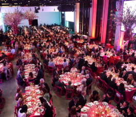 MWR – Design and Art Direction