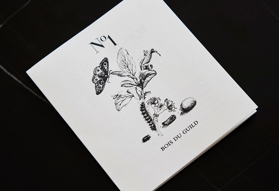 MWR – Design and Art Direction