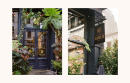 MWR – Design and Art Direction