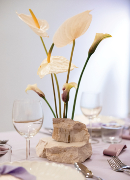 MWR – Design and Art Direction