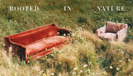 MWR – Design and Art Direction