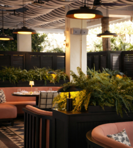 MWR – Design and Art Direction